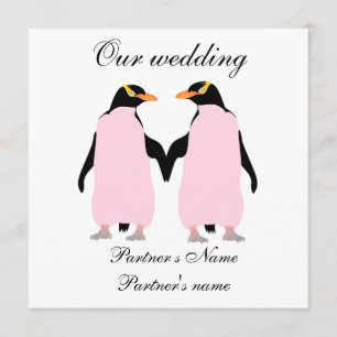 Invitación a la boda de los pingüinos nómadas