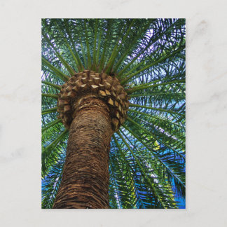 Invitación A La Boda De Palmeras Y Playas