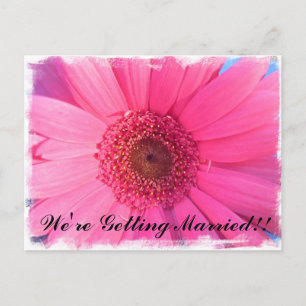 Invitación a la boda de Pink Gerber Daisy