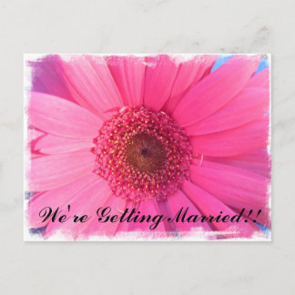 Invitación a la boda de Pink Gerber Daisy