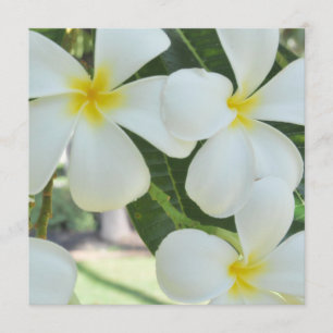 Invitación a la boda de Plumeria en Hawái