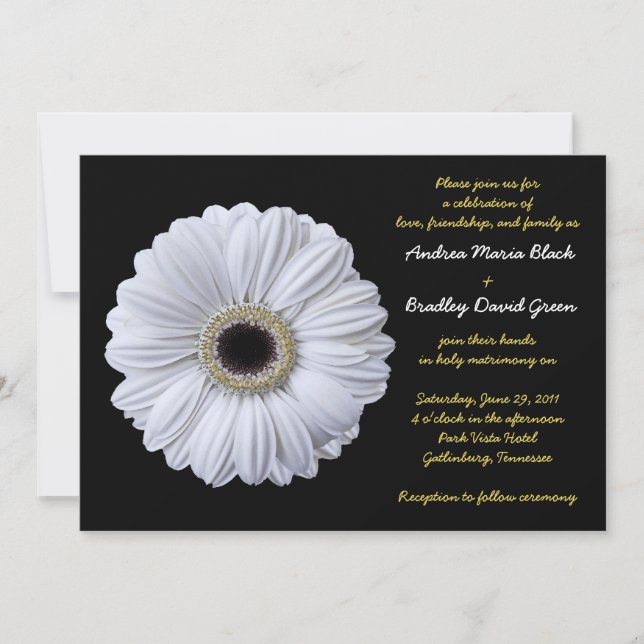 Invitación a la boda negra de Gerbera blanca (Anverso)