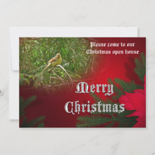 Invitación a la Casa Abierta para navidades