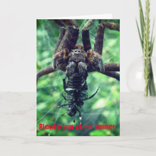 Invitación a la cena de Araña de Halloween