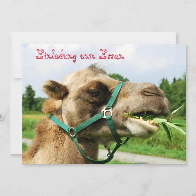 Invitación a la comida (Anverso)