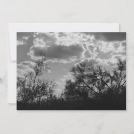 Invitación a la contraluz del pincel (desierto son