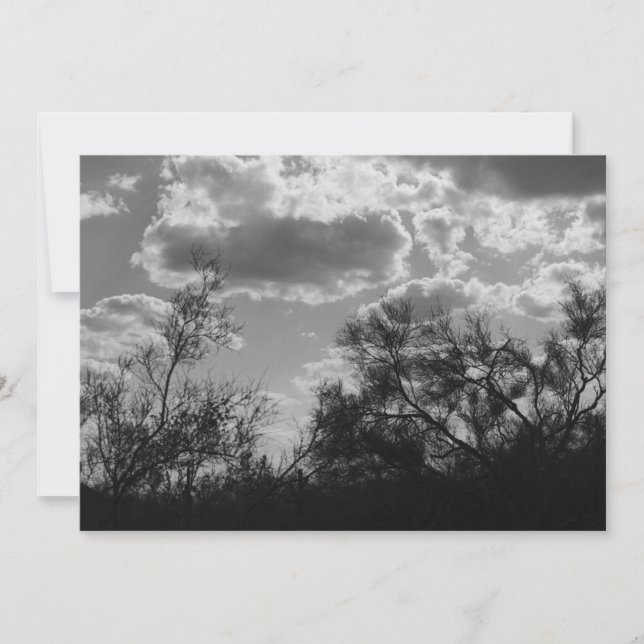 Invitación a la contraluz del pincel (desierto son (Anverso)