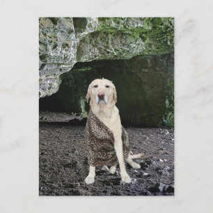 Invitación a la cueva de hombre