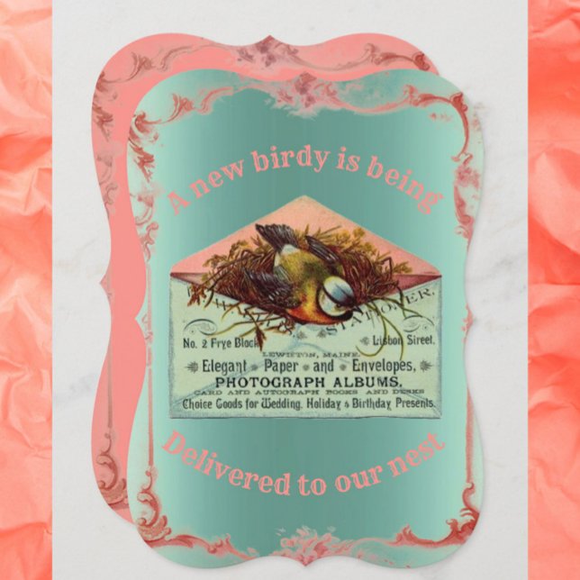 Invitación a la ducha de bebé de ave nidificadora (Subido por el creador)
