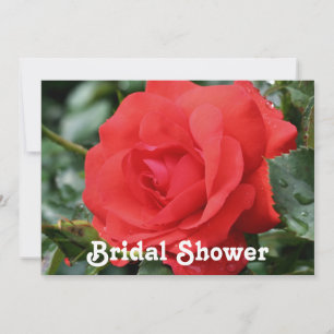 Invitación a la ducha de la boda Red Rose Bridal