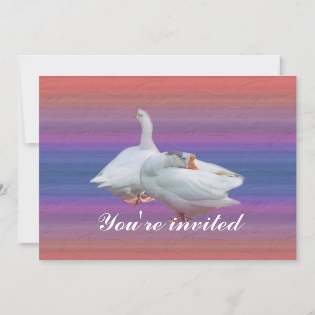 invitación a la fiesta (Anverso)