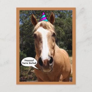 Invitación a la fiesta - "Bess the Fiesta Horse"