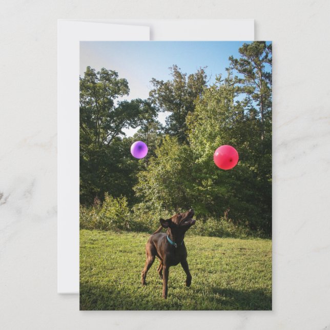 Invitación a la fiesta de Chocolate Lab (Anverso)