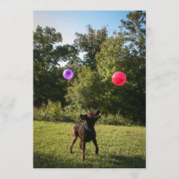 Invitación a la fiesta de Chocolate Lab