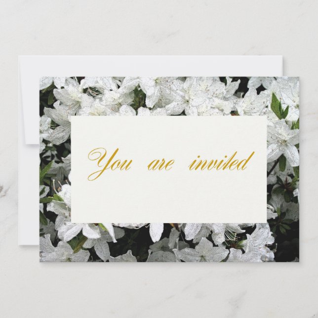 Invitación a la fiesta de compromiso (Anverso)