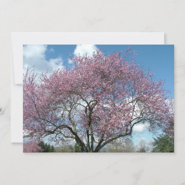 invitación a la fiesta de cumpleaños (Anverso)