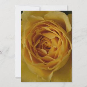 Invitación a la fiesta de cumpleaños 18 de la Rosa