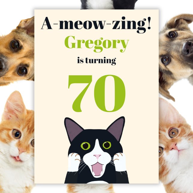 Invitación a la fiesta de cumpleaños 70 de un gato (Subido por el creador)