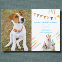 Invitación a la fiesta de cumpleaños de Boy Dog