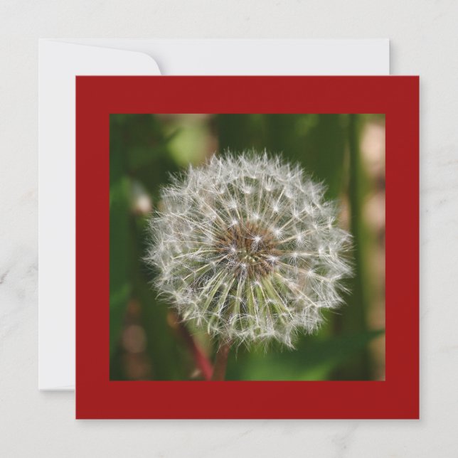 Invitación a la fiesta de cumpleaños de verano (Anverso)