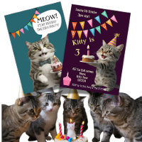 Invitación a la fiesta de cumpleaños del gato