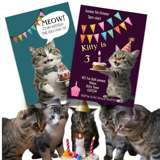Invitación a la fiesta de cumpleaños del gato (Subido por el creador)