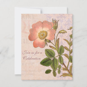 Invitación a la fiesta de cumpleaños del Rosa Vint