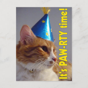 Invitación a la fiesta de cumpleaños PAW-RTY Gato 