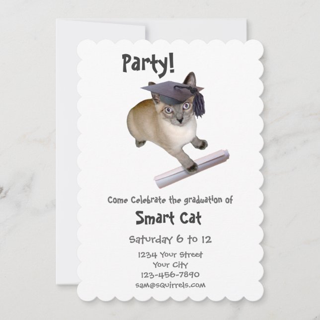 Invitación a la fiesta de graduación de gatitos (Anverso)