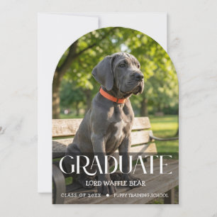 Invitación a la Fiesta de Graduación de Perro Foto