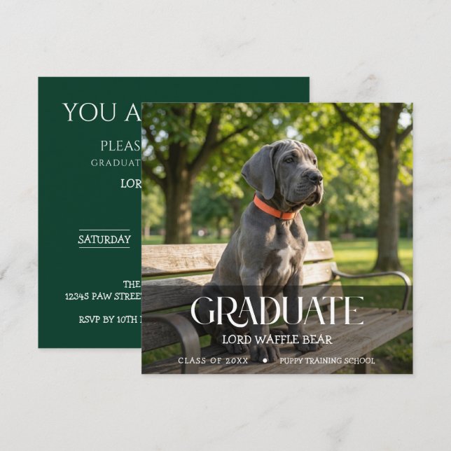 Invitación a la Fiesta de Graduación de Perros Fot (Anverso / Reverso)