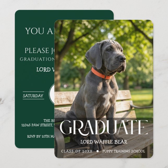 Invitación a la fiesta de graduación de perros Fot (Anverso / Reverso)