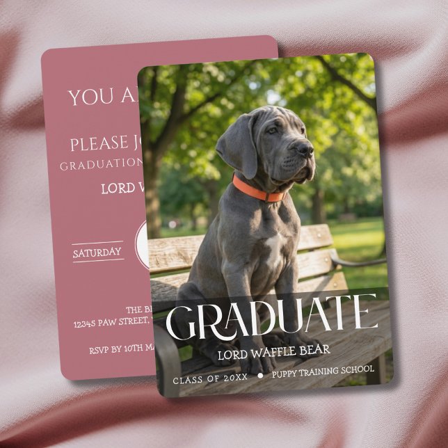 Invitación a la Fiesta de Graduación de Perros Fot (Rose Gold Dog Graduation Invitation cards)