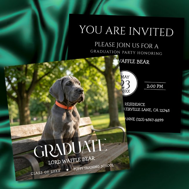 Invitación a la Fiesta de Graduación de Perros Fot (Dog training graduation invitation cards)