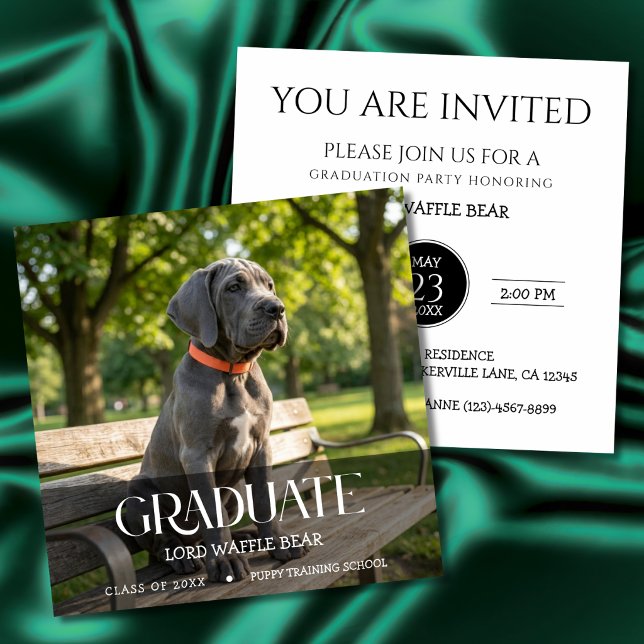 Invitación a la Fiesta de Graduación de Perros Fot (Dog training graduation invitation cards)