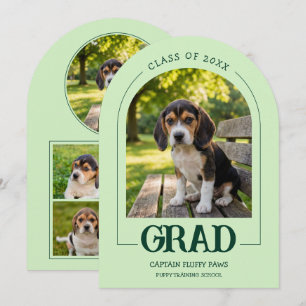 Invitación a la fiesta de graduación de perros Fot