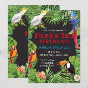 Invitación a la fiesta de las aves tropicales