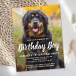 Invitación a la fiesta de Mascota de cumpleaños de<br><div class="desc">¡Niño de cumpleaños! Invite a amigos y familiares a su fiesta de cumpleaños de cachorros o perros con esta simple tarjeta de invitación de cumpleaños de mascotas para el diseño de cumpleaños del perro. Añade la foto favorita de tu cachorro y personaliza con el nombre, el número de cumpleaños y...</div>