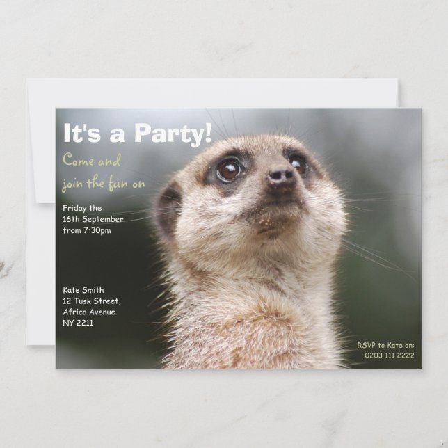 Invitación a la fiesta de Meerkat (Anverso)