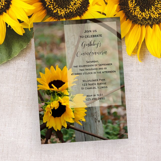 Invitación a la fiesta de Quinceanera de los giras (Subido por el creador)