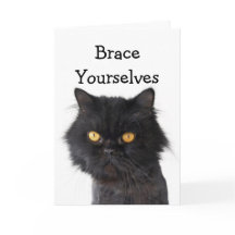 Invitación a la fiesta del gato persa negro