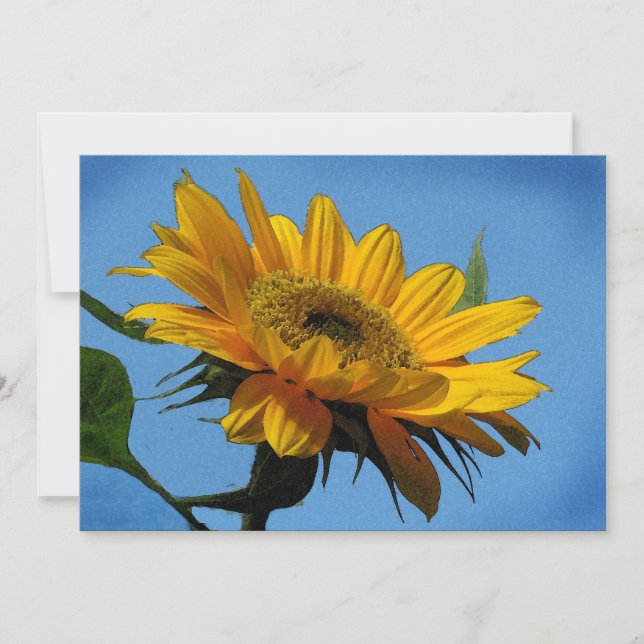 Invitación a la fiesta del solsticio de verano (Anverso)