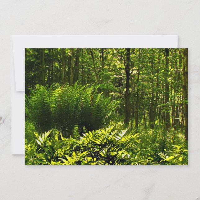 Invitación a la fiesta del solsticio de verano del (Anverso)