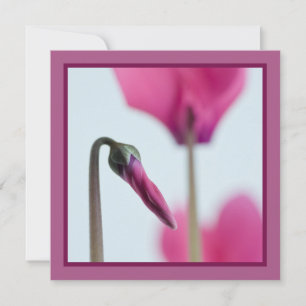 Invitación a la flor rosa por los 50 años