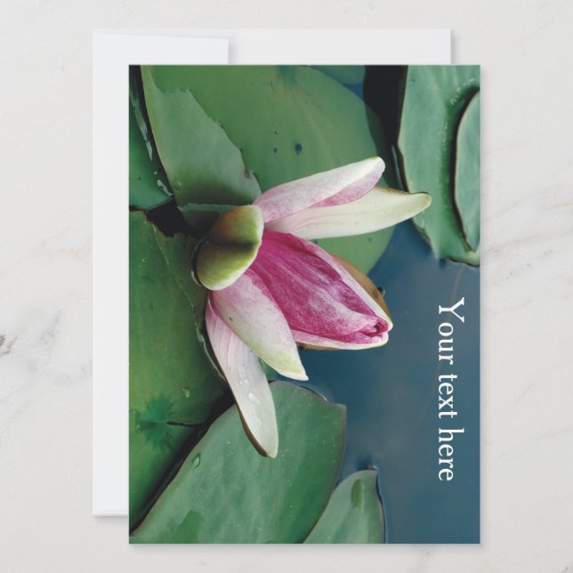 Invitación a la foto de flores rosadas de Lotus Bl (Anverso)