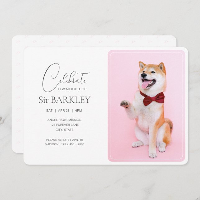 Invitación a la fotografía de moda y simple Mascot (Anverso / Reverso)