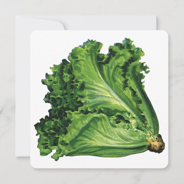 Invitación a la lechuga verde de los alimentos par (Anverso)