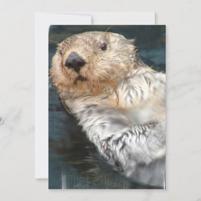 Invitación a la manteca de mar (Anverso)