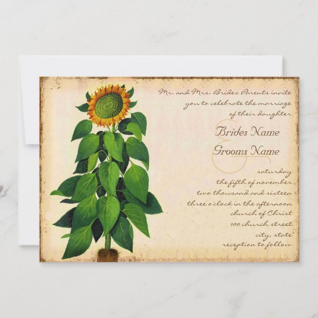 Invitación a la marfil a la boda del girasol (Anverso)