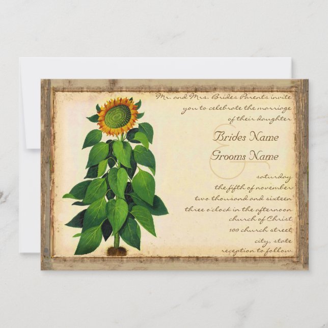 Invitación a la marfil a la boda del girasol (Anverso)
